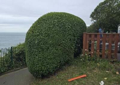 almost eden gardening facebook gallery 13