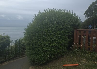 almost eden gardening facebook gallery 14