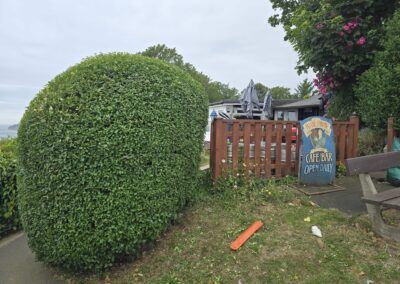 almost eden gardening facebook gallery 15