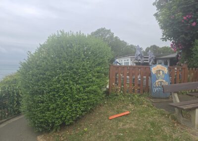 almost eden gardening facebook gallery 16