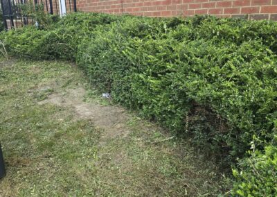 almost eden gardening facebook gallery 19