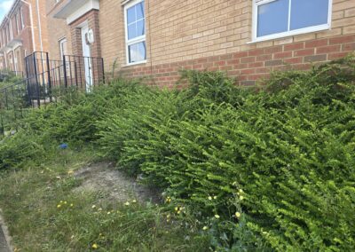 almost eden gardening facebook gallery 20