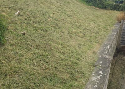 almost eden gardening facebook gallery 26