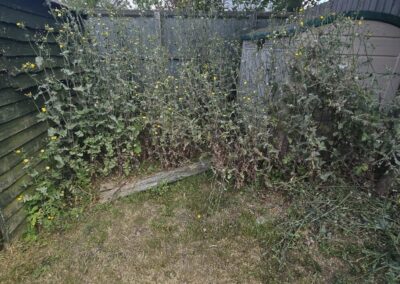 almost eden gardening facebook gallery 29