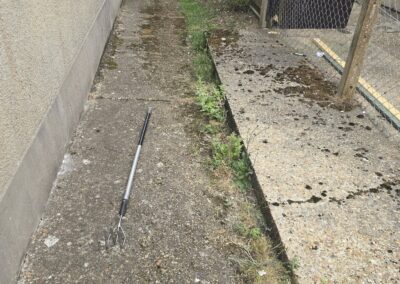 almost eden gardening facebook gallery 37