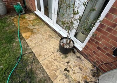 almost eden gardening facebook gallery 41