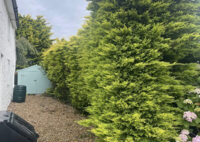 almost eden gardening facebook gallery 43