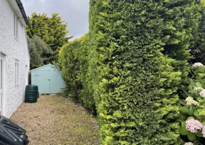 almost eden gardening facebook gallery 44