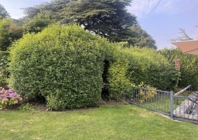 almost eden gardening facebook gallery 52