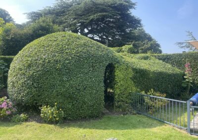 almost eden gardening facebook gallery 53