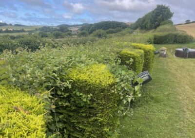 almost eden gardening facebook gallery 54