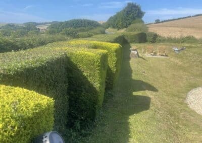 almost eden gardening facebook gallery 55