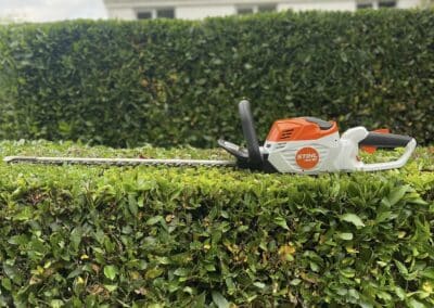 almost eden gardening facebook gallery 59