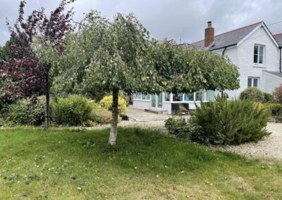 almost eden gardening facebook gallery 60