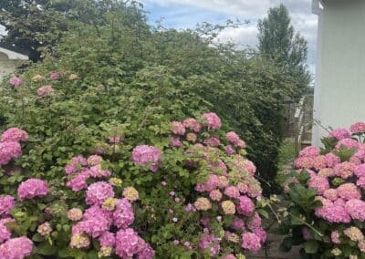 almost eden gardening facebook gallery 62