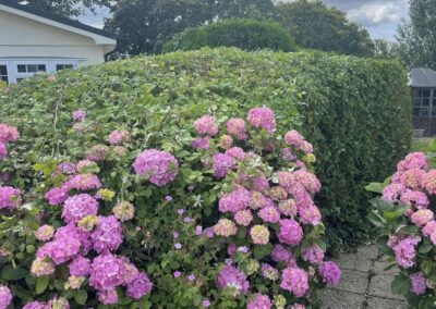 almost eden gardening facebook gallery 63