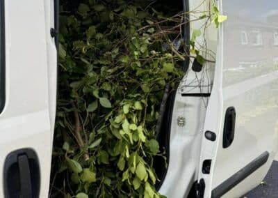 almost eden gardening facebook gallery 65