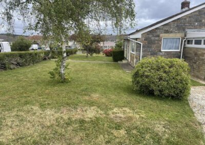 almost eden gardening facebook gallery 66