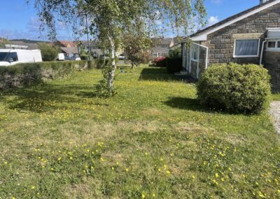 almost eden gardening facebook gallery 67